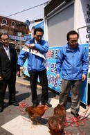 대표이미지