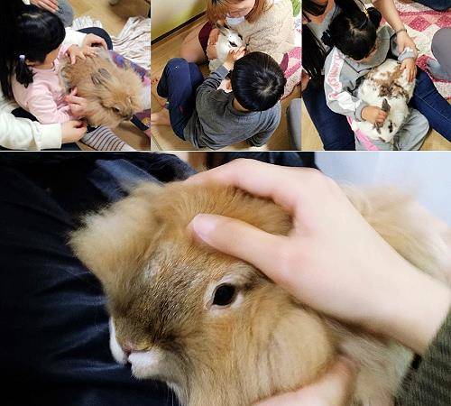 서울연희실용전문학교는 우리마포복지관 자폐아동들을 대상으로 동물매개활동을 실시한다. ⓒ 서울연희실용전문학교