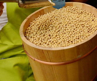 콩 등은 특히 GMO 수입량이 많은 작물이다. 사진은 기사내용과 직접적인 관련이 없음. ⓒ 뉴스1
