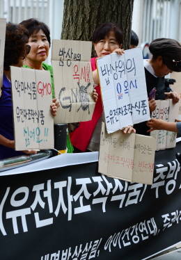 GMO에 대한 철저한 관리를 요구하는 목소리가 높은 가운데 식품의약안전처 고시가 이에 역행하고 있다는 논란이 일고 있다. 사진은 GMO 관련 시민단체 집회 현장. ⓒ 뉴스1