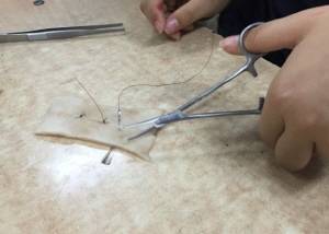 수의사 직업체험에 나선 학생들이 수의사의 지도에 따라 실제로 동물 가죽을 봉합하는 경험을 해보고 있다. ⓒ 달꿈