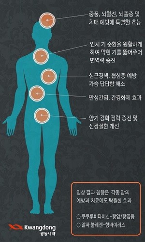건지인 상담원이 발송한 메시지. 특정 질병에 관한 예방 효능 등 표시광고법을 다수 위반한 정황이 드러났다. ⓒ 프라임경제