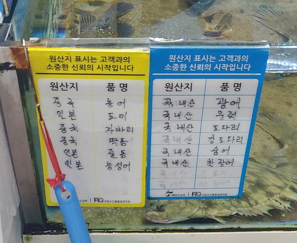 노량진 수산시장의 수산물 원산지 표시. 도미에는 '일본산'으로 표시돼 있다. = 추민선 기자
