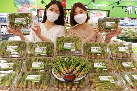 롯데마트에서 판매하는 참두릅과 지리산 엄나무순. ⓒ 롯데쇼핑