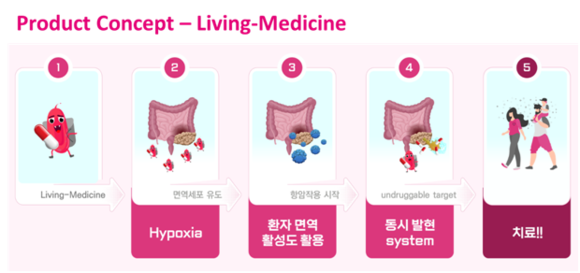신렉스의 'living-medicine'은 대장암뿐만 아니라 △유방암 △간암 △췌장암 세포에서도 효능을 확인, 여러 종류의 암 치료제 연구를 진행 중이다. 유전자 발현 조절 시스템과 다양한 미생물을 활용하는 성능의 개량 또한 이뤄가고 있다. ⓒ 신렉스