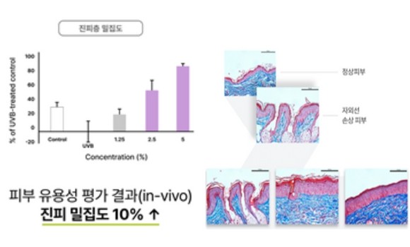 연구결과를 통해 퓨리카 뮤신만의 높은 흡수율을 알 수 있다. ⓒ 에이지엣랩스