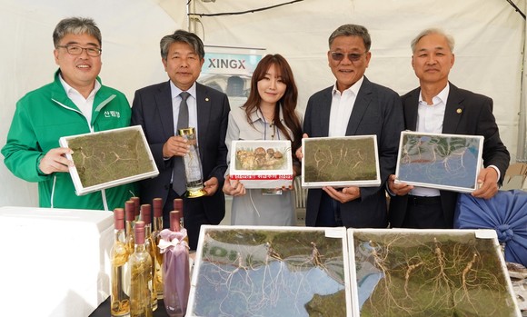 임상섭 산림청 차장(왼쪽 첫번째)이 지난 14일 대전 서구 한밭수목원 원형 잔디광장에서 열린 '2023 청정임산물 대축제'에서 임업인들과 임산물(산양삼, 송이) 홍보를 하고 있다. ⓒ 산림청