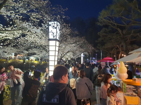 김천 연화지에 야간에도 많은 관광객들이 벚꽃을 관람하고 있다. ⓒ 김천시