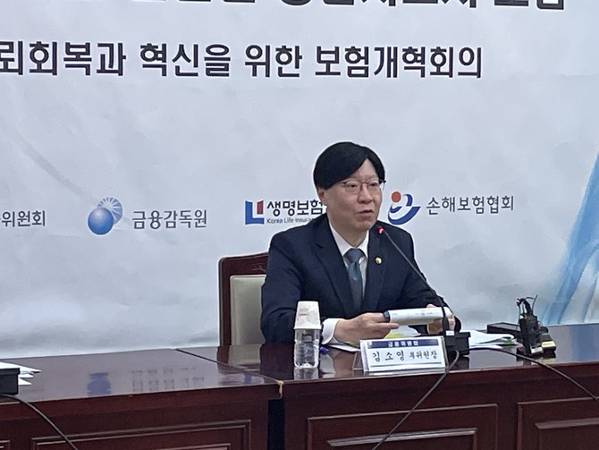김소영 금융위원회 부위원장이 4일 정부서울청사에서 제4차 보험개혁회의를 진행하고 있다. = 김정후 기자