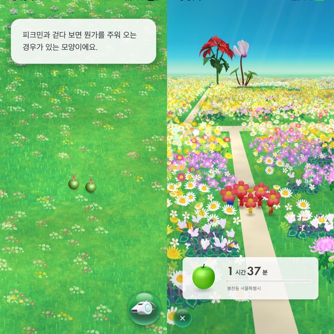 (왼쪽부터) '피크민 블룸'의 튜토리얼 화면. 사과를 가지러 탐험을 떠나는 피크민들. =최민경 기자