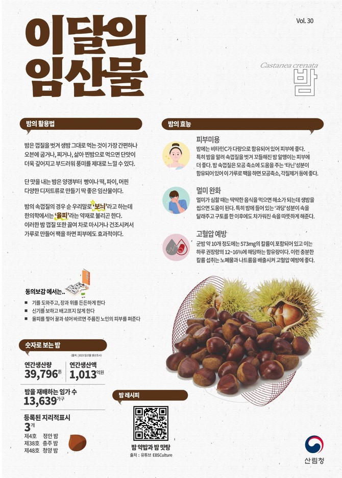 12월 이 달의 임산물 밤 이미지. ⓒ 산림청