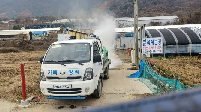 동절기 재난형 가축전염병 특별방역대책을 강화한다. ⓒ 보령시