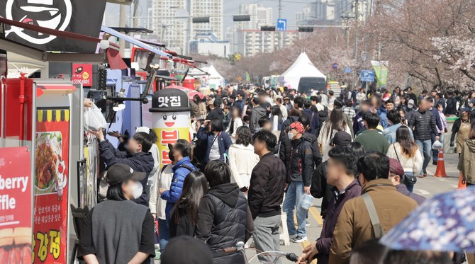 벚꽃과 함께하는 청주 푸드트럭축제 4월 4~6일 개최(2024 푸드트럭 축제). ⓒ 청주시