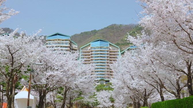 대명소노그룹 소노인터내셔널은 소노호텔앤리조트에서 봄의 정취를 만끽할 수 있는 다채로운 콘텐츠를 선보인다. © 대명소노그룹