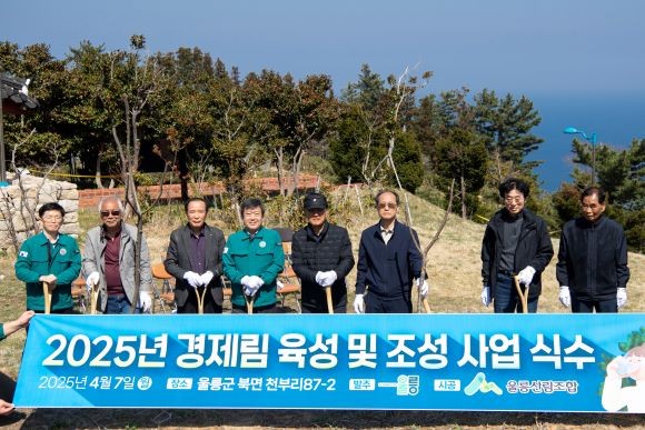 지난 7일 울릉군과 울릉군산림조합이 안용복 기념관에서 경제림조성사업 묘목 식수 행사를 가졌다. ⓒ 울릉군