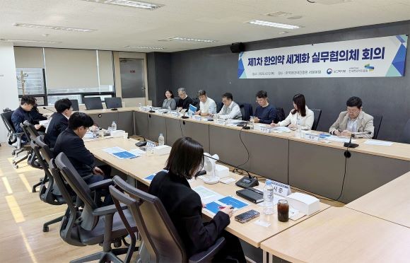 한의약 세계화 실무협의체 회의 모습. ⓒ 한국한의약진흥원