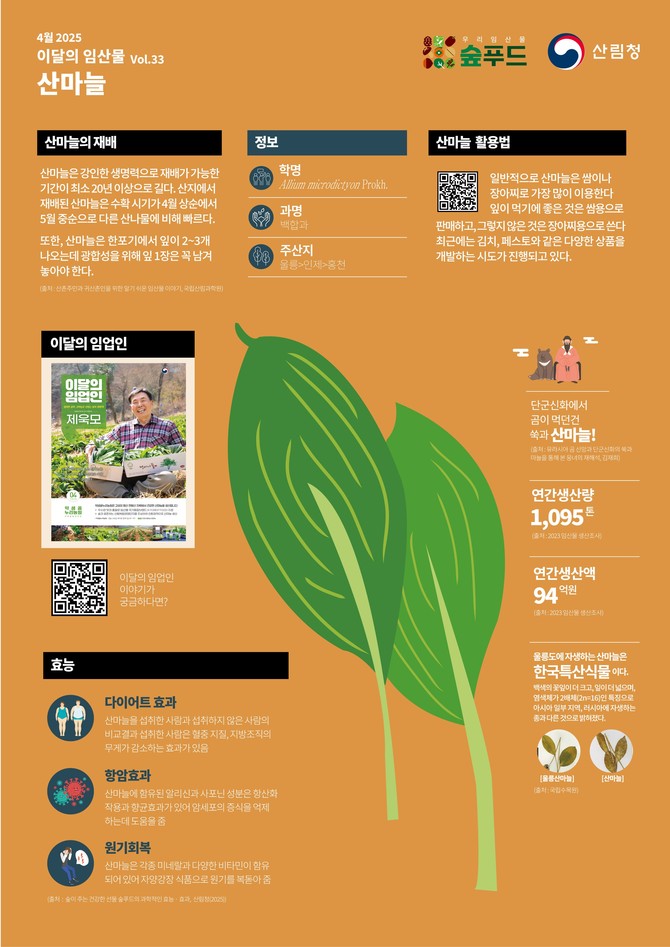 4월 이달의 임산물 '산마늘' 선정. ⓒ 산림청