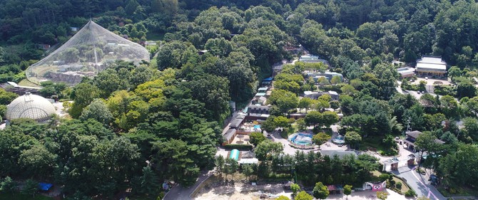청주동물원 관람로 전면 새단장 추진(전경). ⓒ 청주시