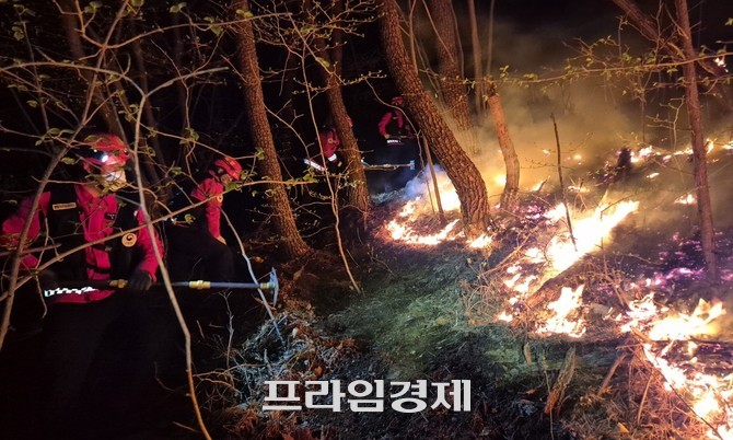 산불 현장의 최전선에 투입되는 산림청 특수진화대 모습. ⓒ 프라임경제