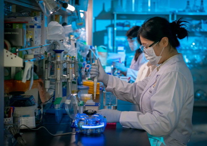 대웅제약은 AACR 2025에서 차세대 항암 파이프라인 3종을 최초로 공개한다. © 대웅제약