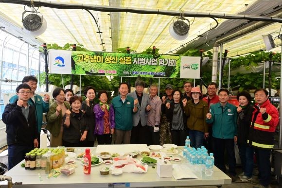 지난 25일 봉성면 금봉리에서 농업인, 공무원 등이 참석한 가운데 고추냉이 생산 실증 시범사업 평가회를 개최했다. ⓒ 봉화군