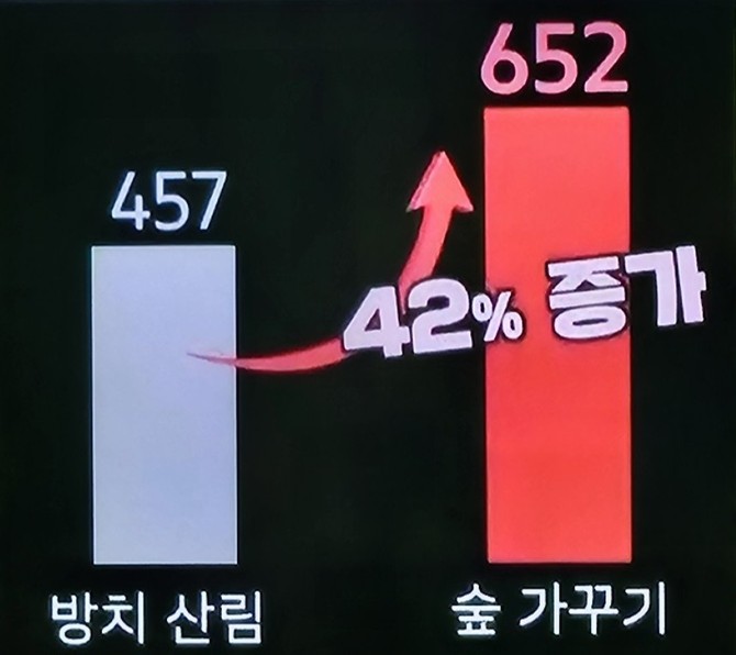 1헥타르(ha) 기준 이산화탄소(CO₂) 흡수량이 약 42% 증가. ⓒ 프라임경제