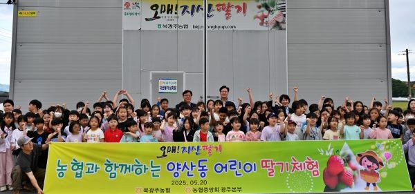 농협광주본부는 북광주농협과 20일 양산동 지역아동센터 어린이 100명을 대상으로 딸기 수확 체험활동을 실시했다. ⓒ 농협중앙회 광주지역본부