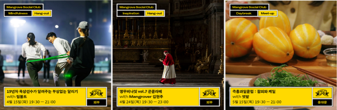 최근 진행된 맹그로브 소셜 클럽 프로그램 일부. © MGRV