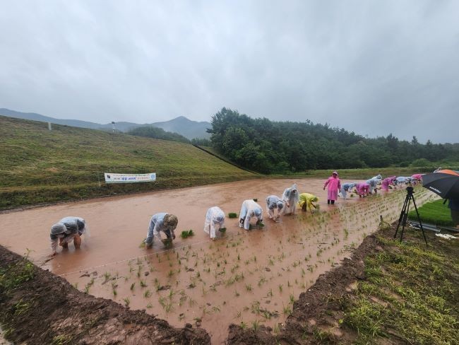 금성면 운곡리에서 진행된 '제6회 첫물 내리기 풍년 기원 행사' 모습. ⓒ 의성군