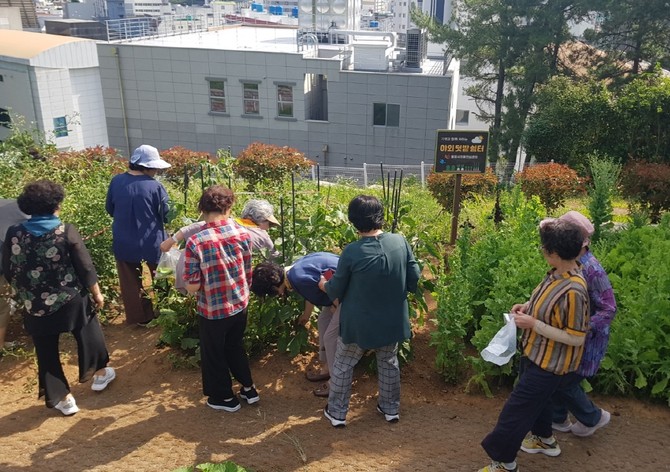 치매안심센터 기억이음 쉼터 '치매치유 텃밭' 운영. ⓒ 통영시