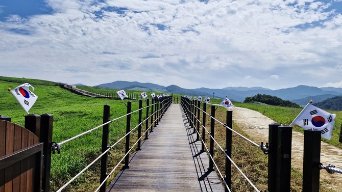 서산한우목장길에 마련된 태극기 길(지난 8월12일 모습). ⓒ 서산시