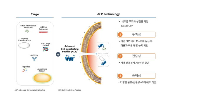 ACP platform technology. © 디엑스앤브이엑스