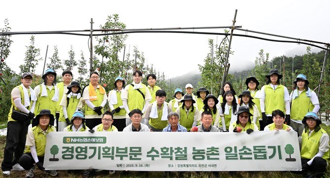 지난 16일 (앞줄 오른쪽 세 번째) 유지영 농협손해보험 경영기획부사장과 임직원들이 강원 화천군 소재 사과 농가를 찾아 수확철 일손돕기 기념사진을 촬영하고 있다. ⓒ 농협손해보험