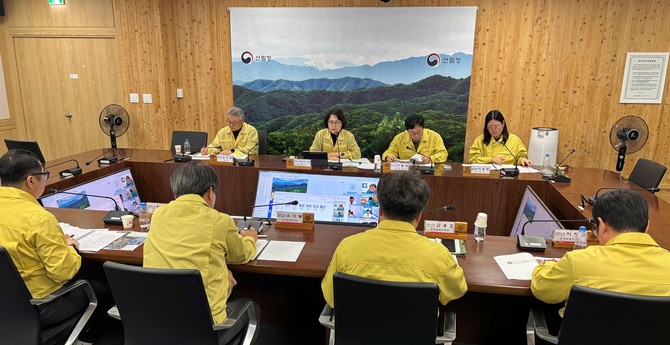 이미라 산림청 차장(가운데)가 12일 산림청에서 광역단위 소나무재선충병 방제 대책회의에 참석해 회의하고 있다. ⓒ 산림청