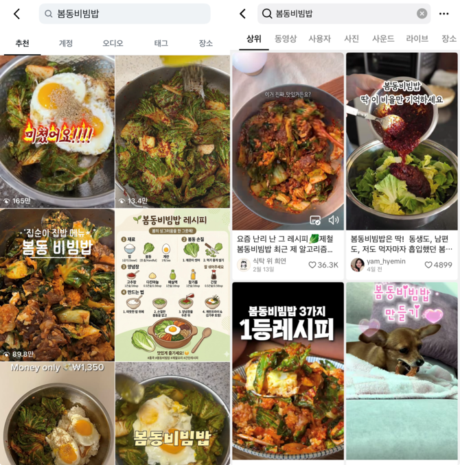 11일 인스타그램(왼쪽)과 틱톡에 봄동비빔밥을 검색한 모습. ⓒ 인스타그램·틱톡 갈무리