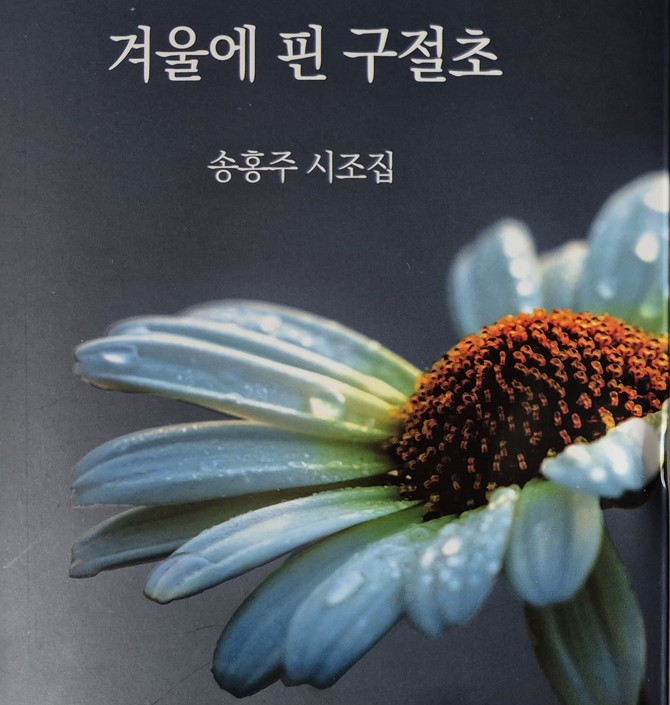 첫시집 '겨울에 핀 구절초' 표지. = 강달수 기자