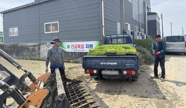 예비묘를 지원받고 있는 영천시 농가. ⓒ 영천시