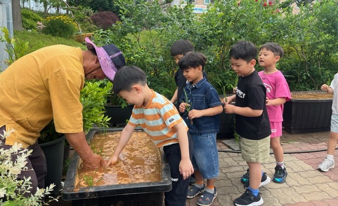 지난 2일 목화유치원에서 원아와 교사가 참여한 가운데 '학교친환경농업 실천지원사업' 모내기 체험을 하고 있다. ⓒ 홍성군