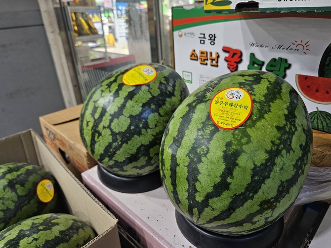 4일 서울의 한 마트 과일 매대에 수박이 진열돼 있다. = 김은수 기자