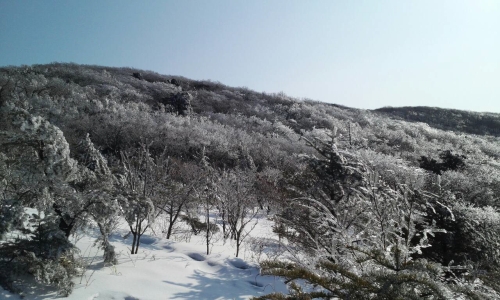 소백산 상고대 = 추민선 기자