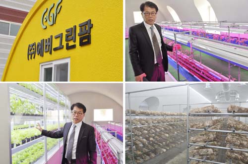  에버그린팜의 단열시설물은 안정적인 돔구조와 가벼운 부재로 지진에 강하고 기둥과 보가 없는 심플 구조로 붕괴로 인한 피해를 극소화 했고, 매년 농산물의 생산량을 예측할 수 있는 장점이 있다. = 김경태 기자